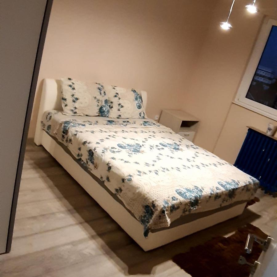 Lux Apartman Čačak Kültér fotó